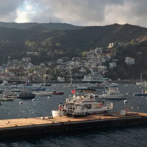 Avalon Harbor, Santa Catalina Island