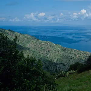 view of mainland from Toyon Bay Road, Santa Catalina Island