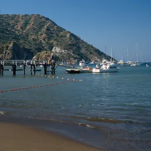 Whites Landing, Santa Catalina Island