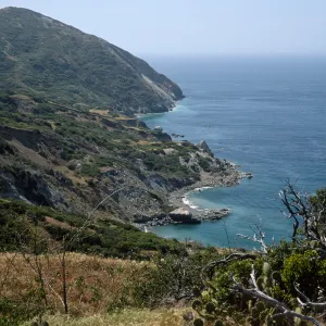 Starlight Beach, Santa Catalina Island