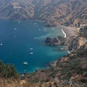 Santa Catalina Island