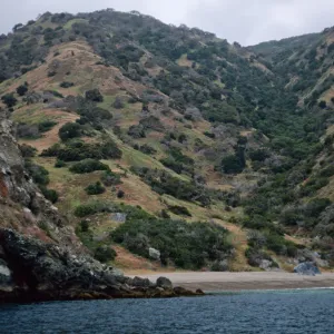 Goat Harbor, Santa Catalina Island
