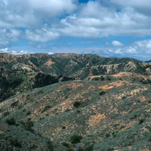 Orizaba (center) & Black Jack Peak (right) from Divide Road, Santa Catalina Road