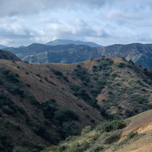 Orizaba Pak (in center) from road to Lone Tree, Santa Catalina Island