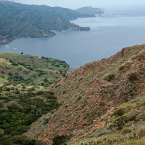 looking West across Isthmus Harbor, Santa Catalina Island