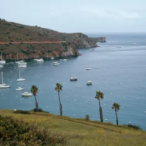 Isthmus Harbor, Santa Catalina Island