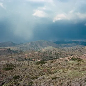 near Rancho Escondido, Santa Catalina Island