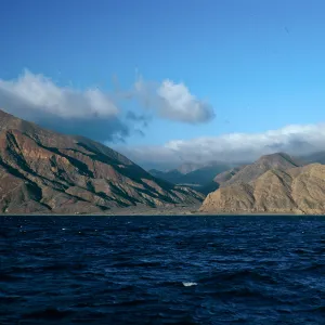 Gran Cañon, Cedros Island