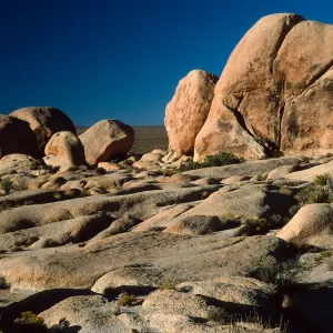rocks, near Belle Campground, Joshua Tree National Park