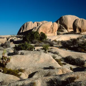 rocks, near Belle Campground, Joshua Tree National Park