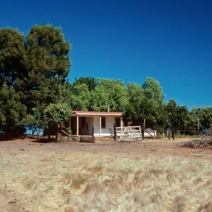 Campo Del Norte, Santa Cruz Island