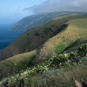 East escarpment, Santa Cruz Island