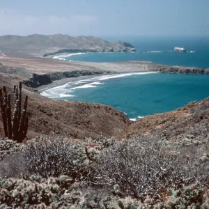 looking South, Southwest portion of island, Natividad Island