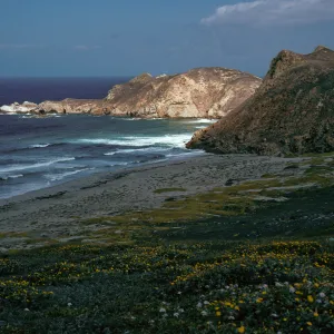 view of Harris Point & Lester Point, San Miguel Island