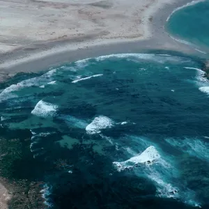 Pinnipeds, Point Bennett, San Miguel Island