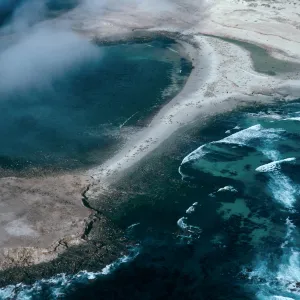 Pinnipeds, Point Bennett, San Miguel Island