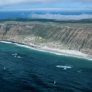 Southwest side, San Miguel Island