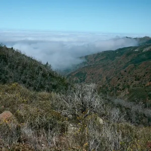 looking down Villa Creek, Lions Den, Monterey County