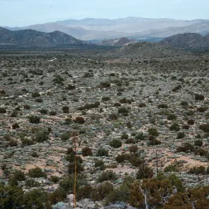 trail to Ghost Mountain, Blair Valley, Anza-Borrego State Park, San Diego County
