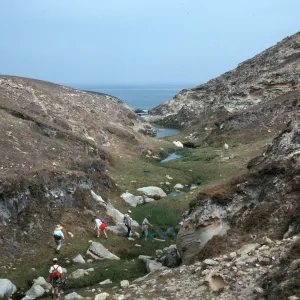 lower Cañon Lobos, Santa Rosa Island