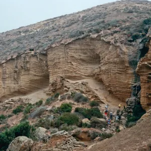 Lobo Canyon, Santa Rosa Island