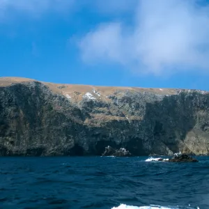 near Potato Harbor, Santa Cruz Island