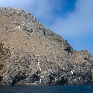bluffs, near Scorpion Bay, Santa Cruz Island