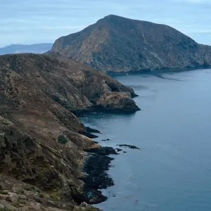 onshore slopes, Middle Anacapa Island