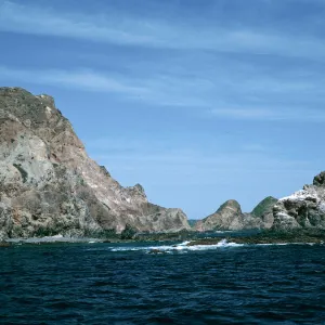 offshore bluffs, behind Frenchys Cove, West Anacapa Island