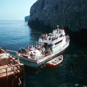 Vanguard, Landing Cove, East Anacapa Island