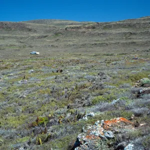 West side, San Clemente Island
