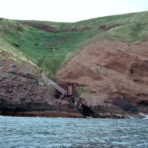 Landing Cove, Santa Barbara Island