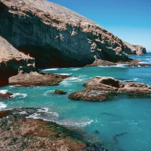 Landing Cove, Santa Barbara Island
