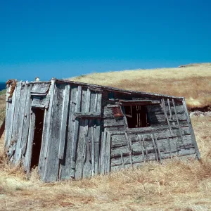 fishing shack, Morse Point, Santa Cruz Island