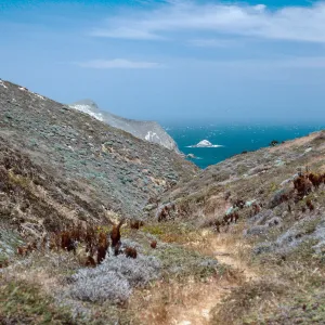 Cañada Del Mar, San Miguel Island