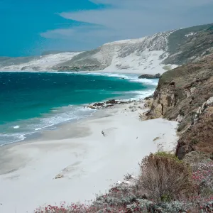 view of Cuyler Harbor from Malacothrix Hybrid locality, San Miguel Island