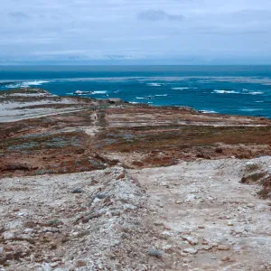 Trail to Point Bennett, San Miguel Island