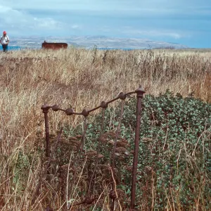 San Miguel Ranch ruins, San Miguel Island