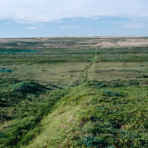 near dry lake, San Miguel Island