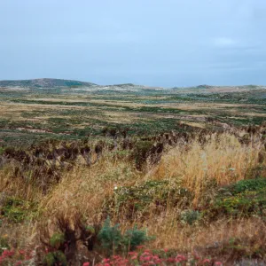 just West of Cañada Del Mar, San Miguel Island
