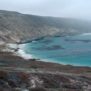 Tyler Bight, San Miguel Island