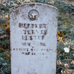 Lester grave, San Miguel Island