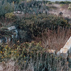 old cistern, Lester Ranch ruins, San Miguel Island