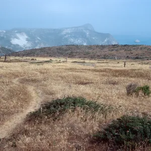 terrace, old fenceline, West of Lester Ranch, San Miguel Island