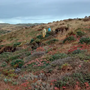canyon, South of Cabrillo Monument, San Miguel Island