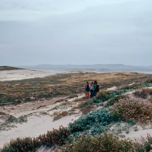sand stripes, above East Cuyler Harbor, Santa Rosa Island is in background, San Miguel Island