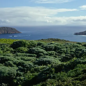 Prince Island, Cuyler Harbor view, San Miguel Island