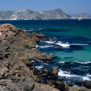 habitat of Malacothrix indecora, SJ #6056, San Miguel Island