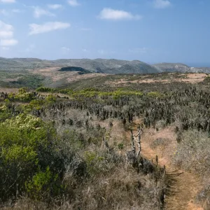 trail to Harris Point peninsula, San Miguel Island