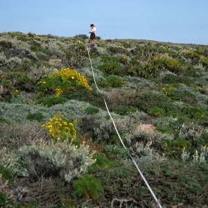 transect, San Miguel Island